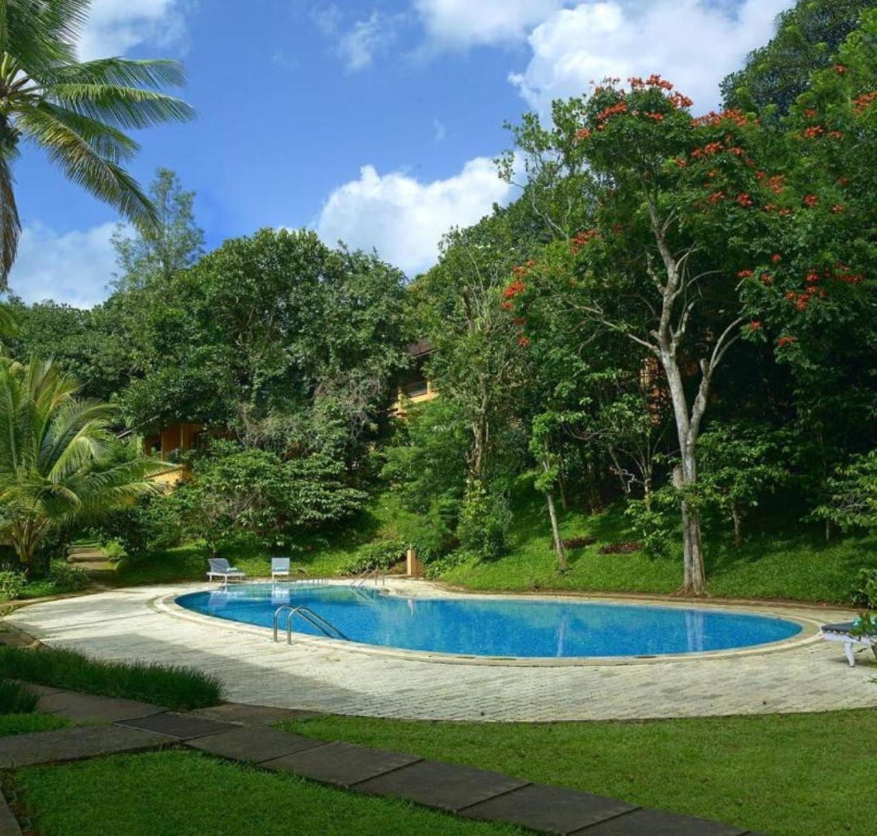 Abad Green Forest Thekkady Kumily Exterior photo